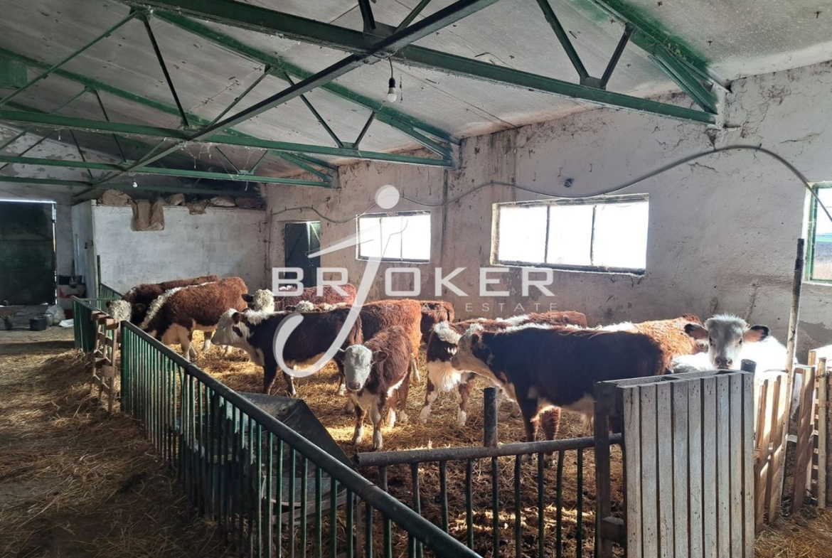 Пром. помещение - 0