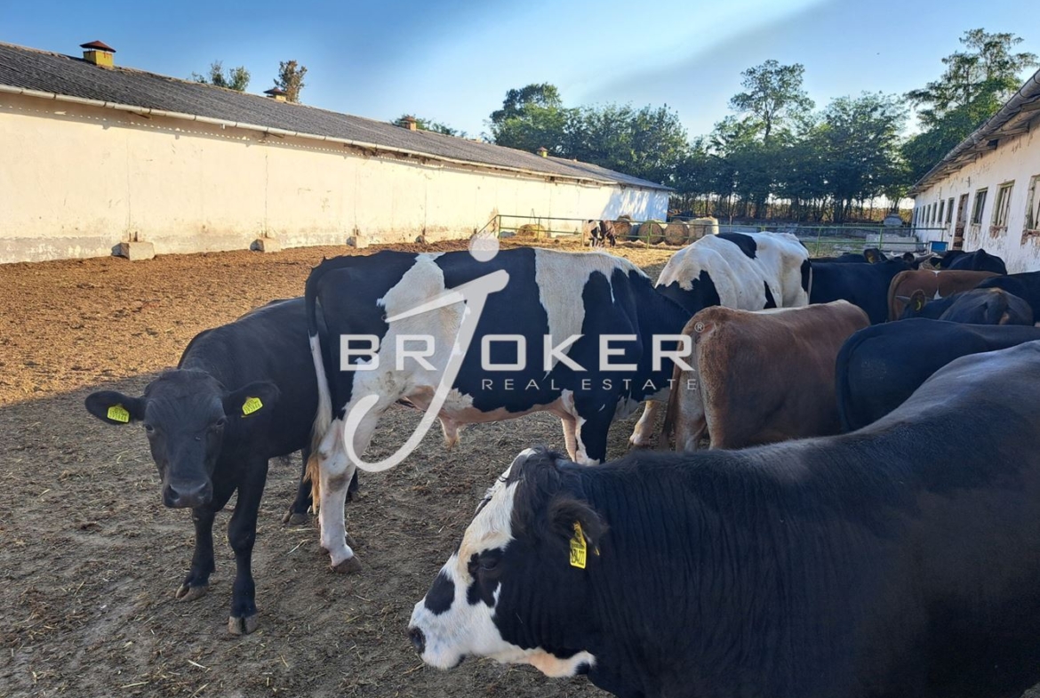 Пром. помещение - 0