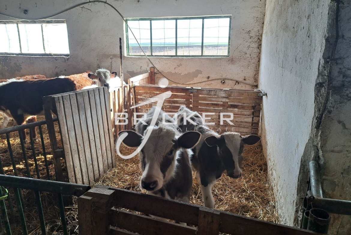 Пром. помещение - 0