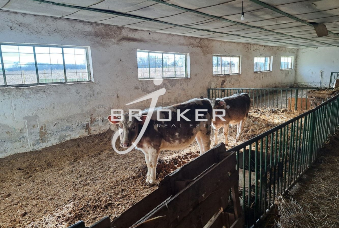 Пром. помещение - 0