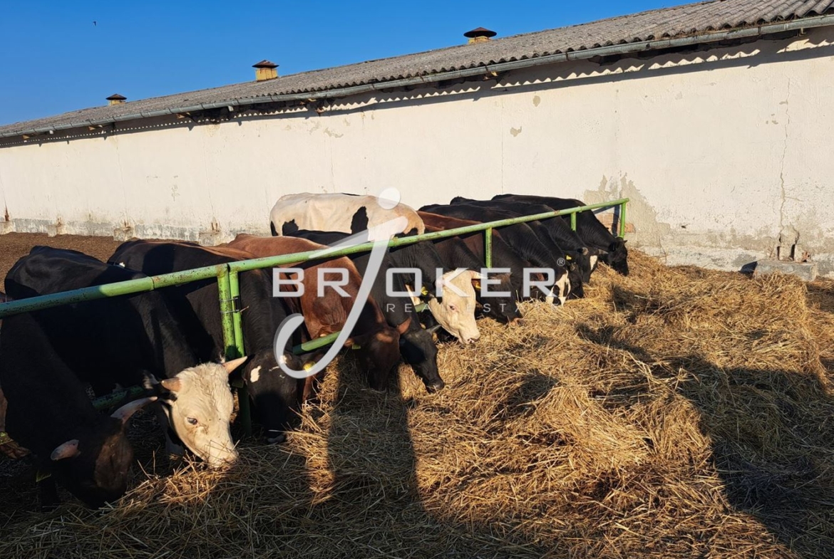 Пром. помещение - 0