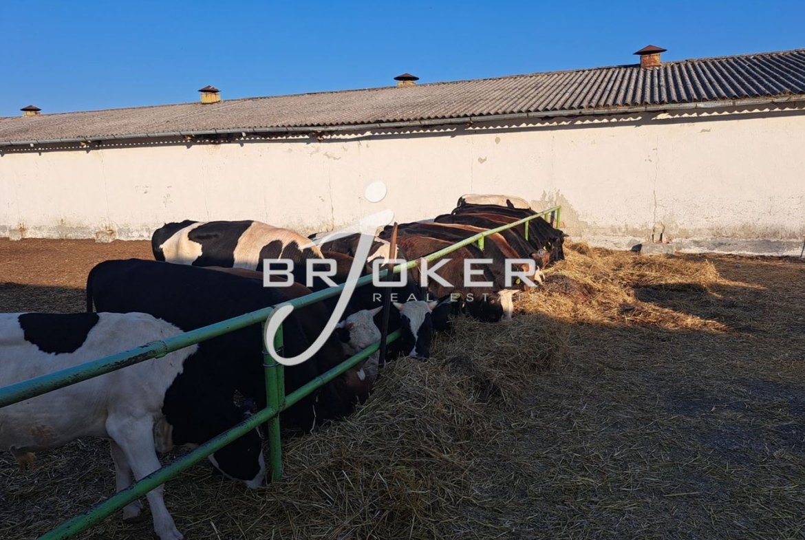 Пром. помещение - 0