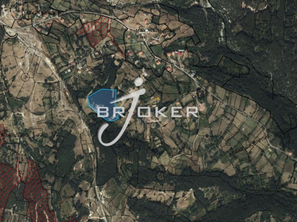 Парцел - Кърджали, област, с.Желъдово - 0